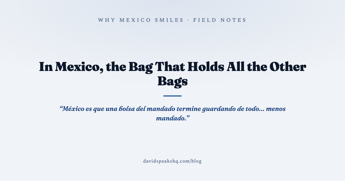 In Mexico, the Bag That Holds All the Other Bags